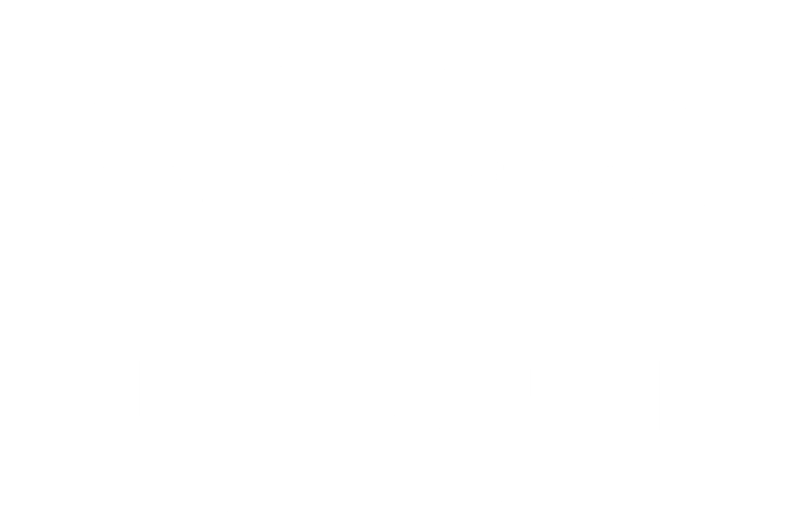 Quattordici